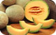melon